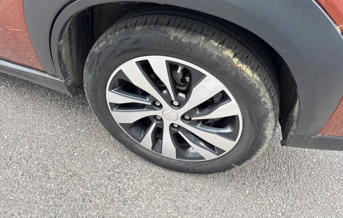 SUZUKI S-CROSS 1.5 Dualjet Allgrip Hybrid Auto Style photo 9 13839