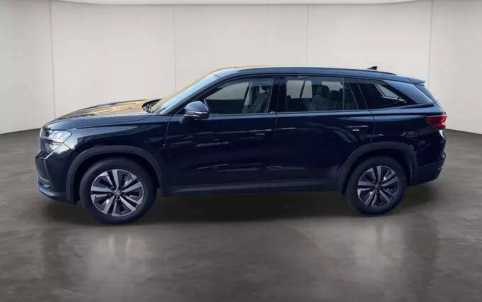 SKODA KODIAQ 2.0 TDI 150 ch SCR DSG7 7pl Selection extérieur côté gauche 2132481