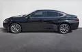 Miniature LEXUS ES 300h Business extérieur côté gauche 1103803