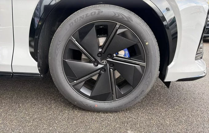 LEXUS RZ 550e F SPORT photo 9 70193