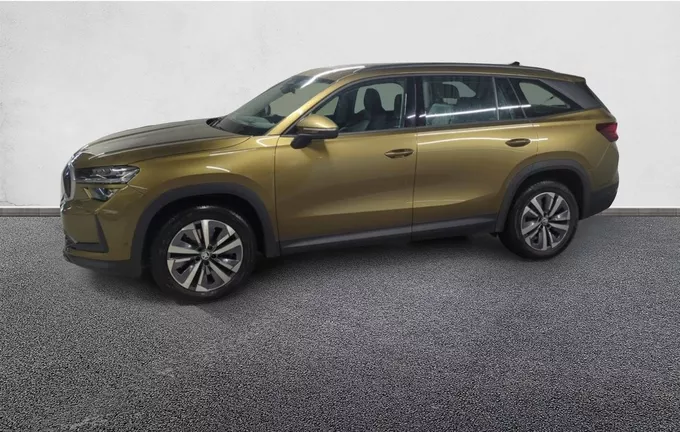 SKODA KODIAQ 2.0 TDI 150 ch SCR DSG7 7pl Selection extérieur trois quart arrière gauche 2124154