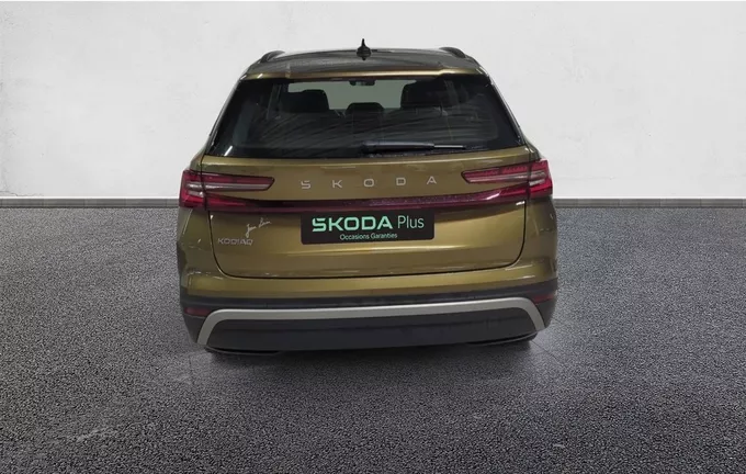 SKODA KODIAQ 2.0 TDI 150 ch SCR DSG7 7pl Selection extérieur côté gauche 2124154