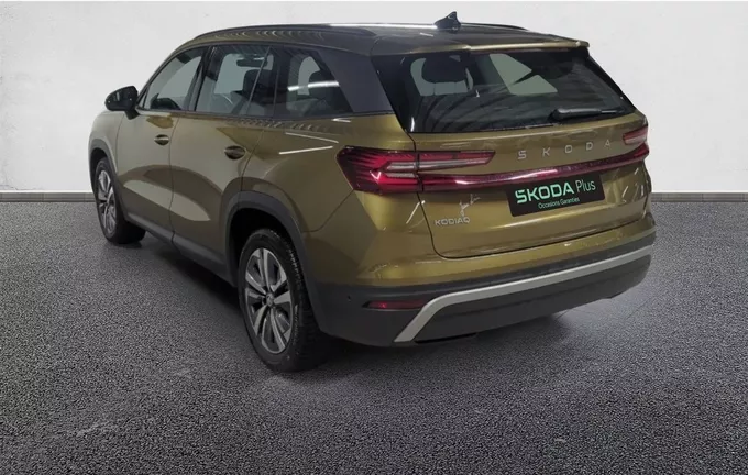 SKODA KODIAQ 2.0 TDI 150 ch SCR DSG7 7pl Selection photo 11 2124154