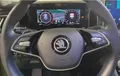 Miniature SKODA KODIAQ 2.0 TDI 150 ch SCR DSG7 7pl Selection photo 15 2124154