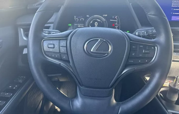 LEXUS UX 250h 4WD Executive photo 12 1103902