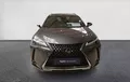 Miniature LEXUS UX 250h 2WD Pack Business extérieur avant 1103685