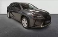 Miniature LEXUS UX 250h 2WD Pack Business extérieur trois quart avant droit 1103685