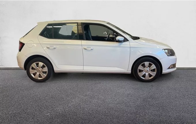 SKODA FABIA 1.4 TDI 75 CR FAP Greentec Business Plus extérieur côté droit 213494