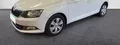 Miniature SKODA FABIA 1.4 TDI 75 CR FAP Greentec Business Plus photo 20 213494