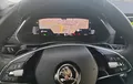 Miniature SKODA OCTAVIA Combi 2.0 TDI 150 ch DSG7 Style photo 20 213091