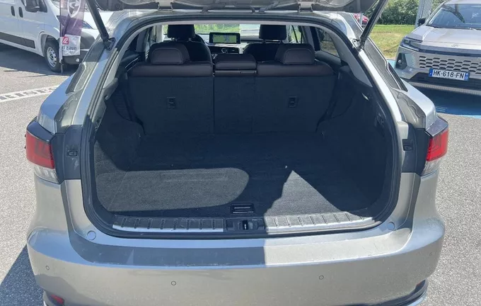 LEXUS RX 450h Luxe photo 10 1103570