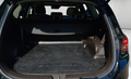 Miniature HYUNDAI SANTA FE 1.6 T-GDi Hybrid 230 BVA6 Executive photo 9 14016