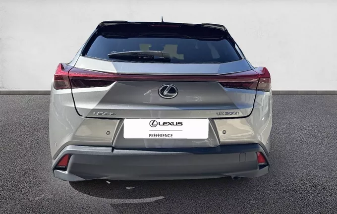 LEXUS UX 300h 2WD Luxe extérieur arrière 1103768
