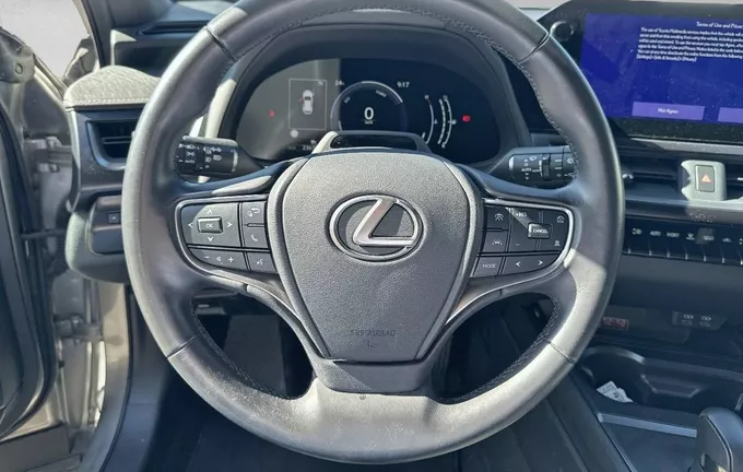 LEXUS UX 300h 2WD Luxe photo 12 1103768