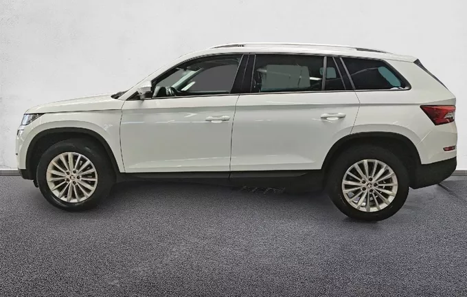 SKODA KODIAQ 1.5 TSI 150 ACT DSG7 7pl Edition extérieur côté gauche 213364