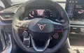 Miniature CUPRA LEON 2.0 TDI 150 ch DSG7 V photo 12 2128031