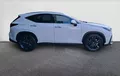 Miniature LEXUS NX 450h+ 4WD Hybride Rechargeable Luxe Plus extérieur côté droit 74833