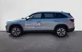 Miniature SKODA KODIAQ 1.5 TSI 204 ch PHEV DSG6 5pl Selection extérieur côté gauche 1225