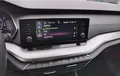 Miniature SKODA OCTAVIA Combi 2.0 TDI 150 ch DSG7 Ambition photo 15 
