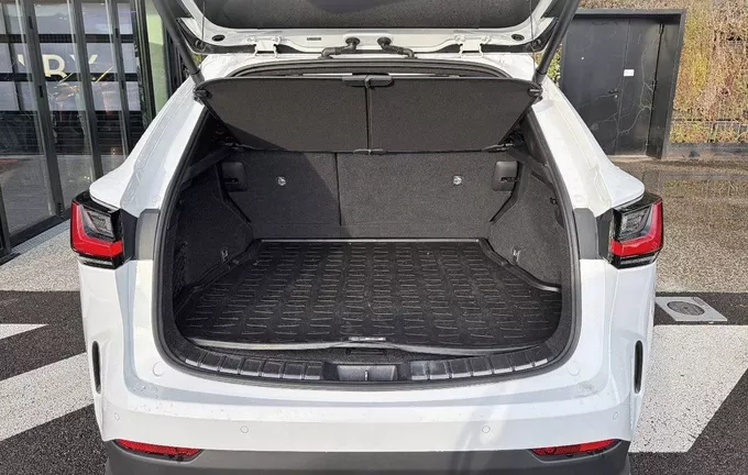 LEXUS NX 450h+ 4WD Hybride Rechargeable F SPORT Executive photo 10 1102739