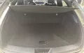 Miniature LEXUS UX 250h 2WD F SPORT Executive photo 10 1103530