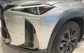 Miniature LEXUS UX 250h 2WD F SPORT Executive photo 19 1103530