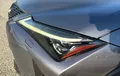 Miniature LEXUS UX 250h 2WD F SPORT photo 22 1103076