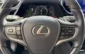 Miniature LEXUS ES 300h Executive photo 12 1103400