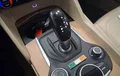 Miniature ALFA ROMEO GIULIA 2.2 150 ch AT8 Lusso photo 13 212876