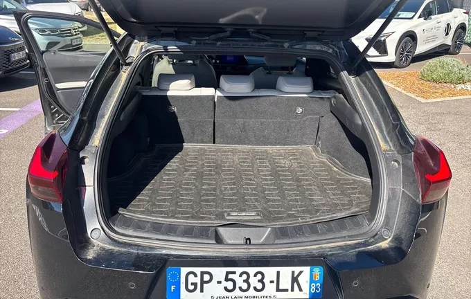LEXUS UX 250h 2WD F SPORT Design photo 10 1103835