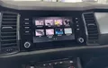 Miniature SKODA KODIAQ 2.0 TDI Evo 150 SCR DSG7 5pl Ambition photo 18 2124150