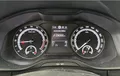 Miniature SKODA KODIAQ 2.0 TDI Evo 150 SCR DSG7 5pl Ambition photo 19 2124150