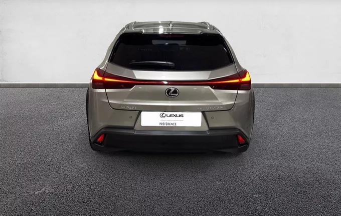 LEXUS UX 250h 4WD Luxe extérieur arrière 1104011