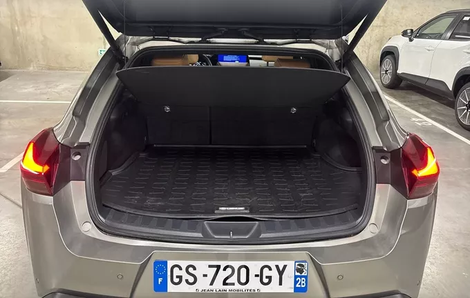 LEXUS UX 250h 4WD Luxe photo 10 1104011