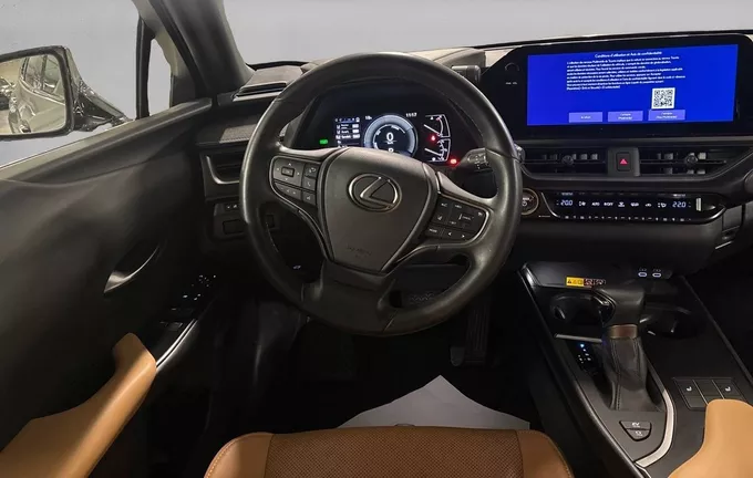 LEXUS UX 250h 4WD Luxe photo 11 1104011