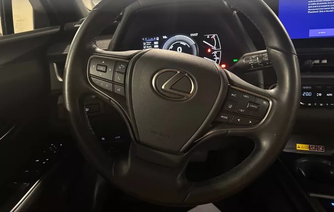 LEXUS UX 250h 4WD Luxe photo 12 1104011