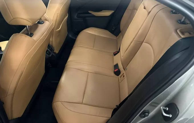 LEXUS UX 250h 4WD Luxe photo 17 1104011