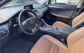 Miniature LEXUS NX 300h 4WD Luxe photo 11 1103376