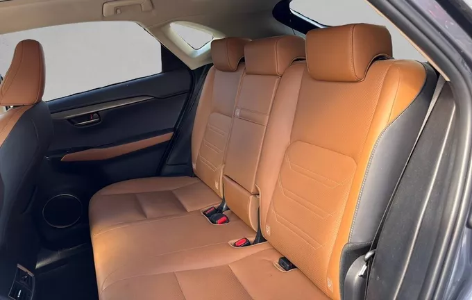 LEXUS NX 300h 4WD Luxe photo 17 1103376
