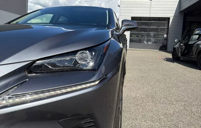 LEXUS NX 300h 4WD Luxe photo 19 1103376