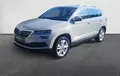 Miniature SKODA KAROQ 1.0 TSI 116 ch Style extérieur trois quart avant gauche 2128818