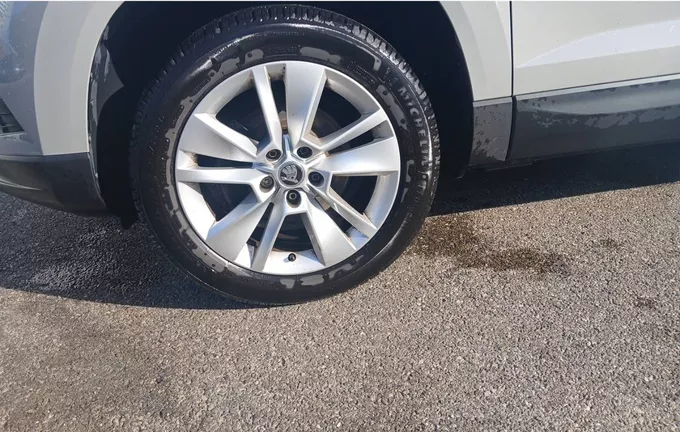 SKODA KAROQ 1.0 TSI 116 ch Style photo 12 2128818