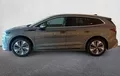 Miniature SKODA ENYAQ 85x Plus extérieur côté gauche 5866