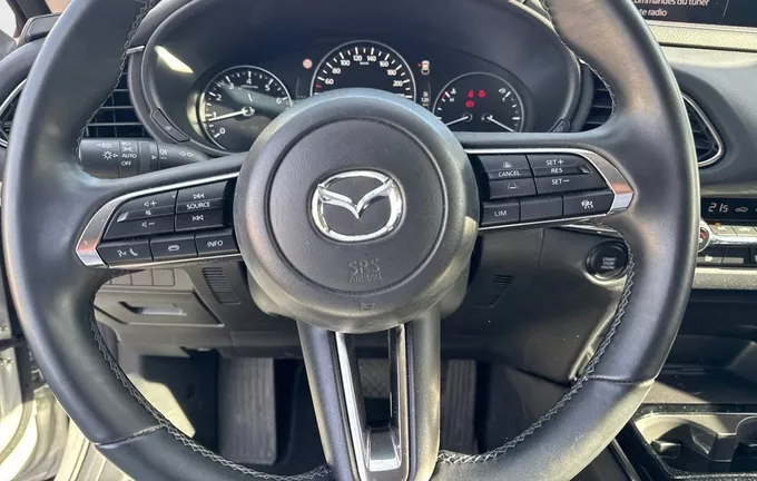 MAZDA CX-30 2.0L e-SKYACTIV X M Hybrid 186 ch 4x4 BVA6 Homura photo 12 2132323