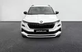 Miniature SKODA KAROQ 1.5 TSI Evo 2 150 ch ACT DSG7 Sportline extérieur avant 4309
