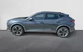 Miniature CUPRA FORMENTOR 2.0 TDI 150 ch DSG7 4Drive Business Edition extérieur côté gauche 213024