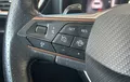 Miniature CUPRA FORMENTOR 2.0 TDI 150 ch DSG7 4Drive Business Edition photo 19 213024