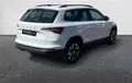 Miniature SKODA KAROQ 1.5 TSI 150 ch ACT Ambition extérieur avant 560625