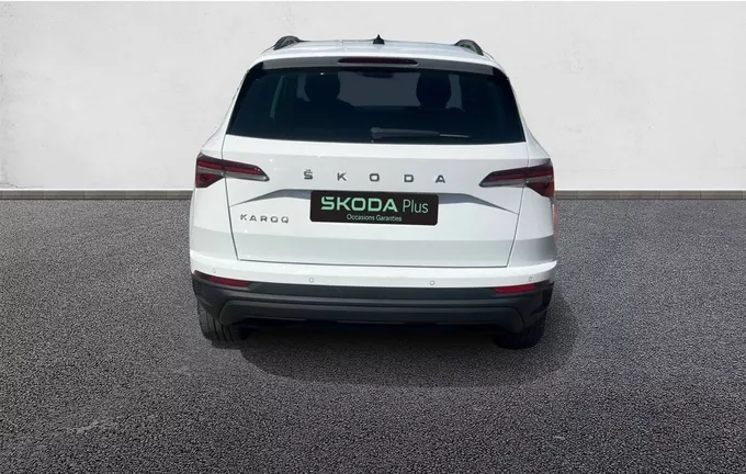 SKODA KAROQ 1.5 TSI 150 ch ACT Ambition extérieur côté gauche 560625