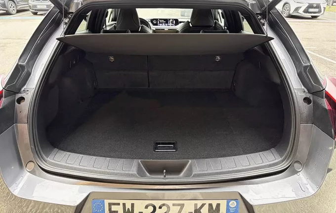 LEXUS UX 250h 4WD F SPORT Executive photo 10 1103036